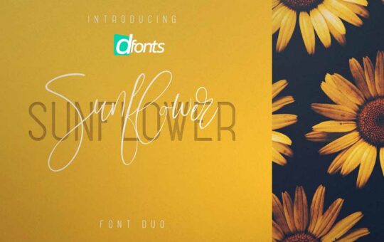 Sunflower-Font-Duo-1.jpg