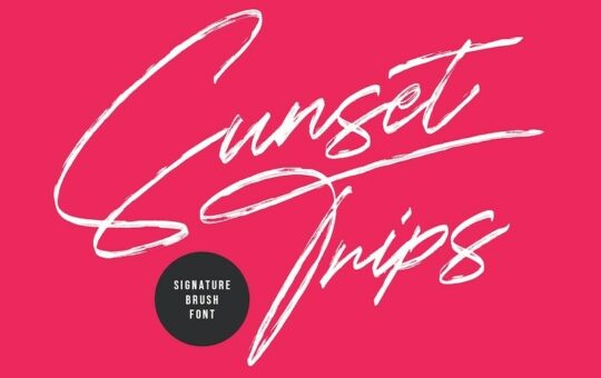 Sunset-Trips-Brush-Script-Font-1.jpg