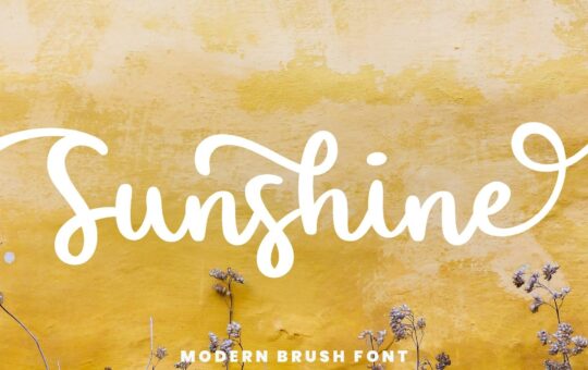 Sunshine-Bold-Script-Font-1.jpg