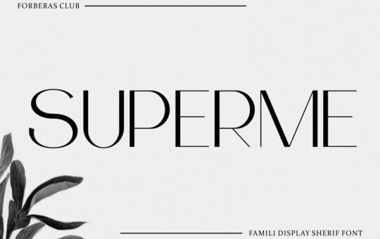 Superme-Sans-Serif-Font-1.jpg