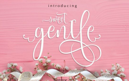 Sweetgentle-Script-Font.jpg