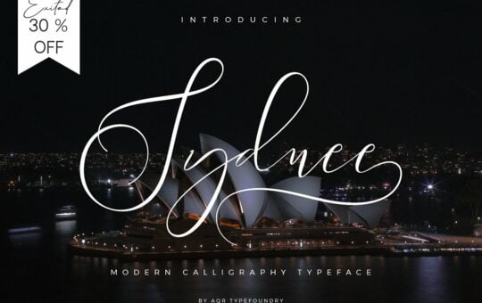 Sydnee-Modern-Calligraphy-Font-1.jpg