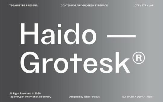 TG-Haido-Grotesk-Sans-Serif-Font-1.jpg