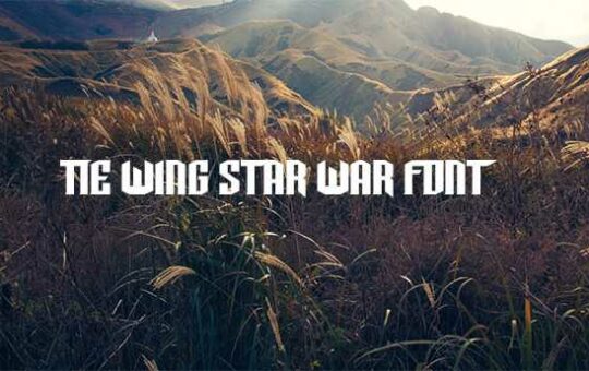TIE-Wing-font.jpg