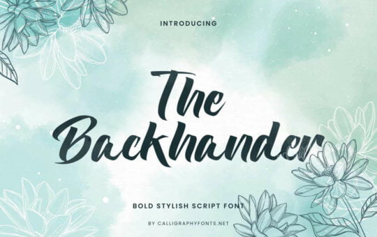 The-Backhander-Brush-Font-1.jpg