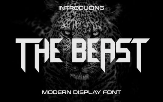 The-Beast-Display-Font-1.jpg