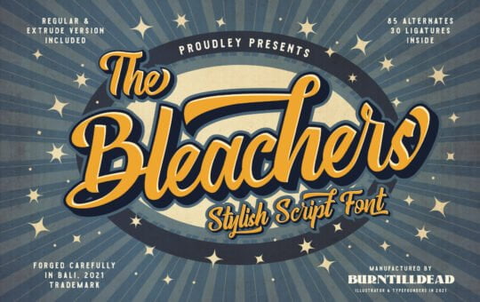 The-Bleachers-Bold-Script-Font-1.jpg