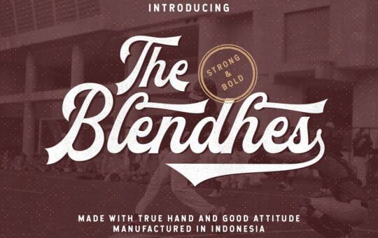 The-Blendhes-Bold-Script-Font-1.jpg