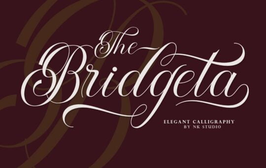 The-Bridgeta-Script-Calligraphy-Font-1.jpg