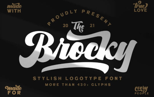The-Brocky-Stylish-Font-Dou-1.jpg