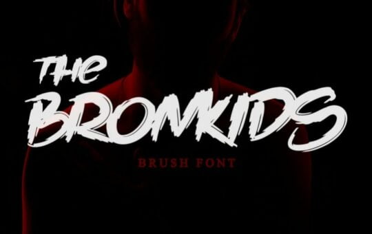The-Bronkids-Brush-Font.jpg