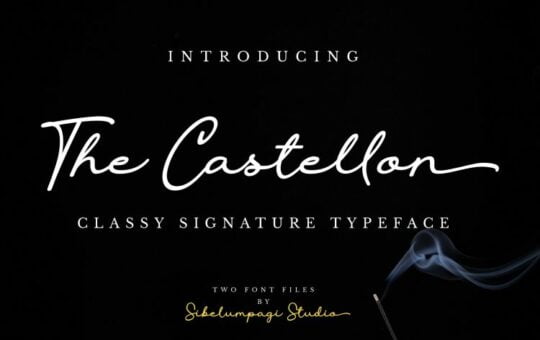 The-Castellon-Script-Font.jpg