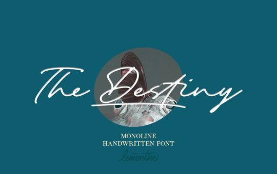 The-Destiny-Monoline-Font-1.jpg