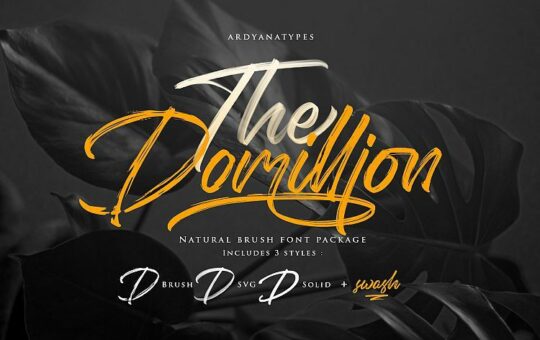 The-Domillion-Brush-Font.jpg