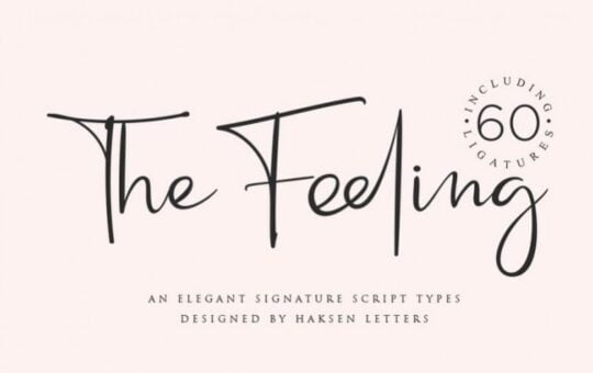 The-Feeling-Handwritten-Font-1.jpg