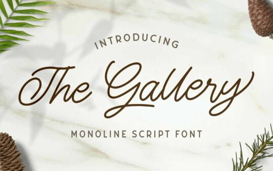 The-Gallery-Monoline-Script-Font-1.jpg