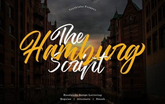 The-Hamburg-Script-Font.jpg