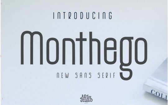 The-Monthego-Sans-Serif-Font-1.jpg