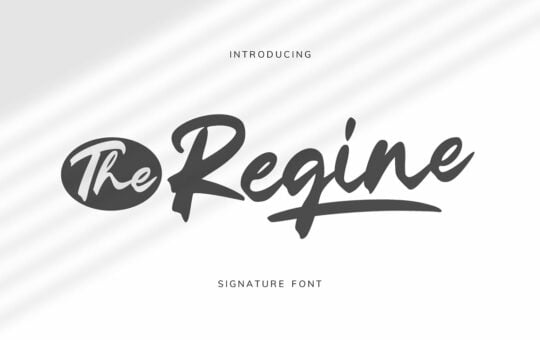 The-Regine-Signature-Font-1.jpg