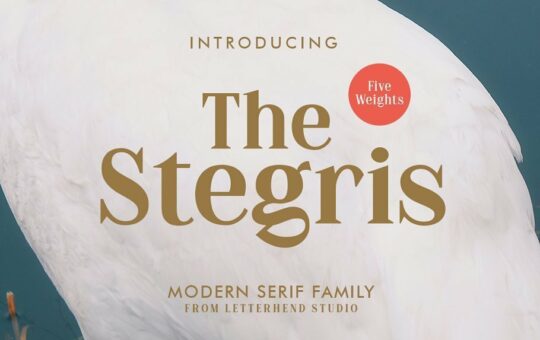 The-Stegris-Serif-Font-Family-1.jpg