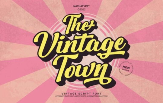 The-Vintage-Town-Script-Font-1.jpg