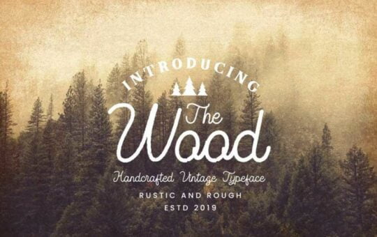 The-Wood-Vintage-Monoline-Script-font.jpg