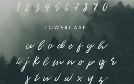 The-Woodlands-Free-Modern-Calligraphy-Font-scaled.jpg