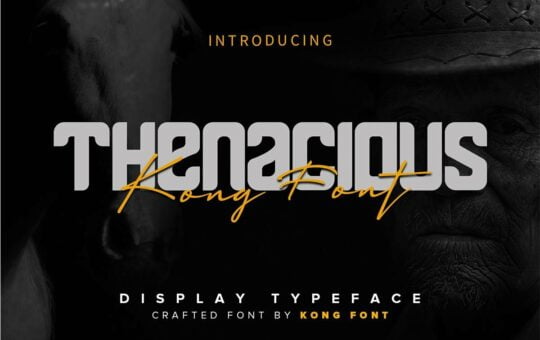 Thenacious-Display-Font-1.jpg