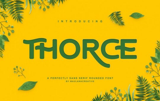 Thorce-Rounded-Sans-Font.jpg