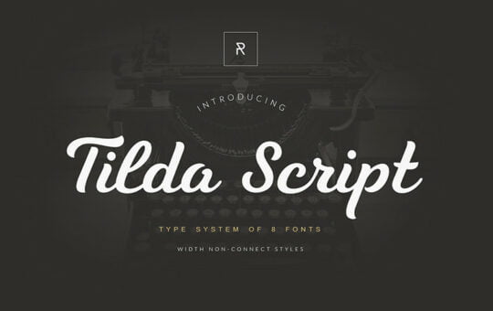 Tilda-Script-Font.jpg