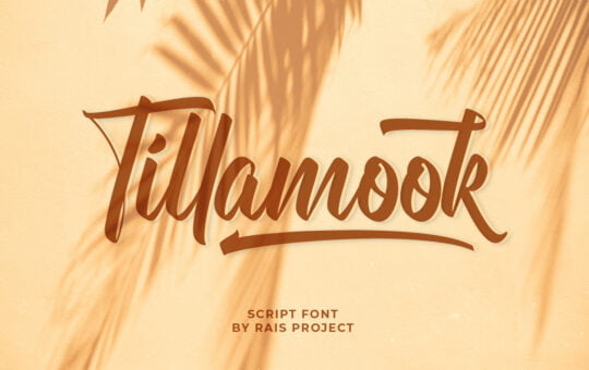Tillamook-Script-Brush-Font-1.jpg