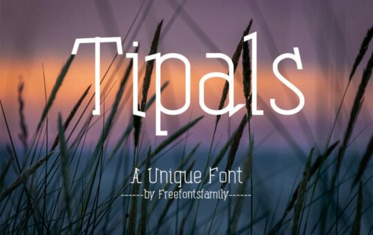 Tipals-Font.jpg