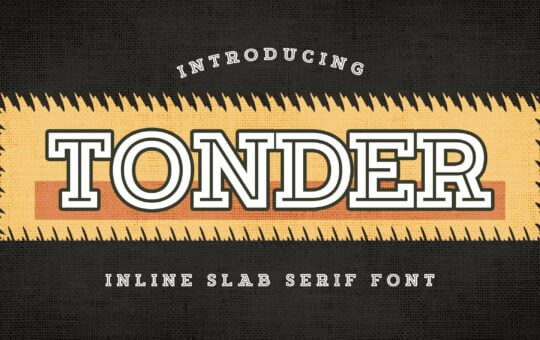 Tonder-Slab-Serif-Font-1.jpg