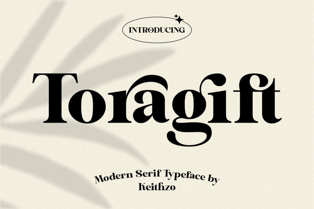 Toragift-Modern-Serif-Font-1.jpg