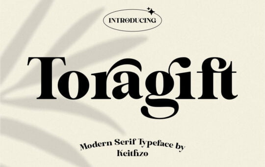 Toragift-Modern-Serif-Font-1.jpg