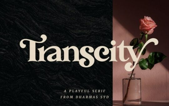 Transcity-Serif-Font-1.jpg