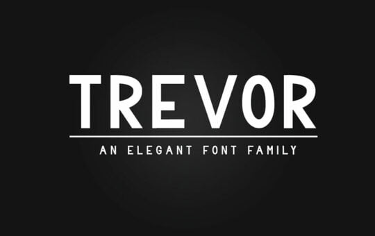 Trevor-Sans-Serif-Font-Family-1.jpg