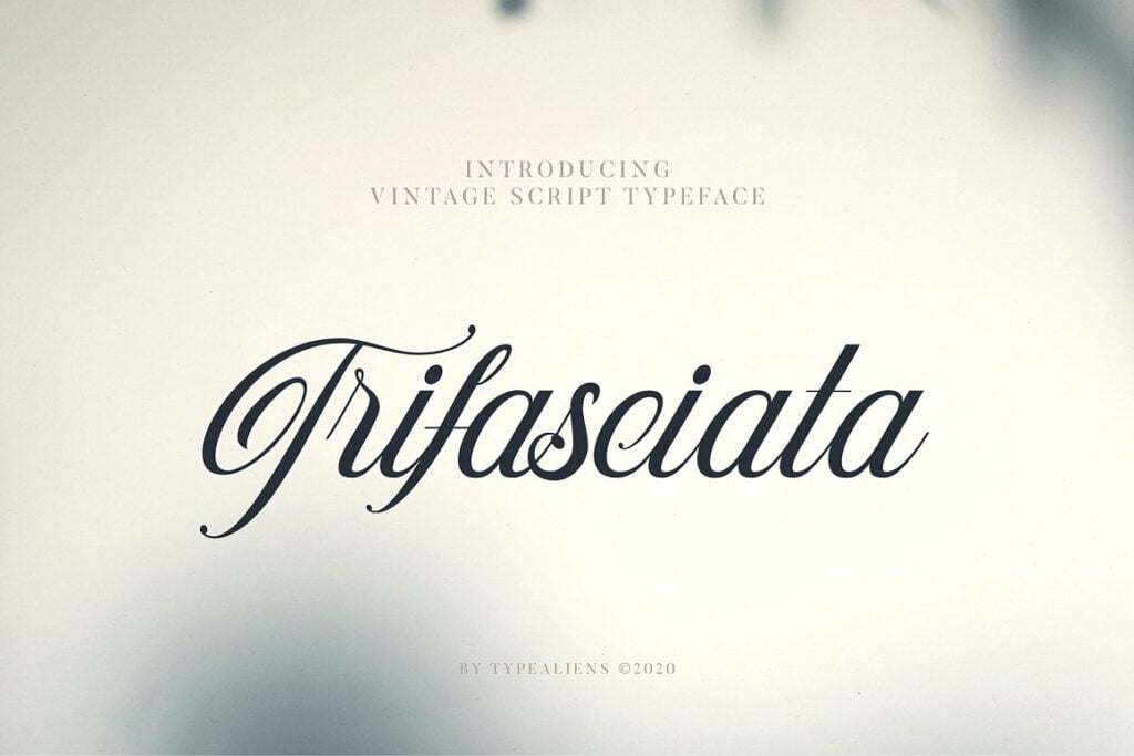 Trifasciata-Script-Typeface-1.jpg