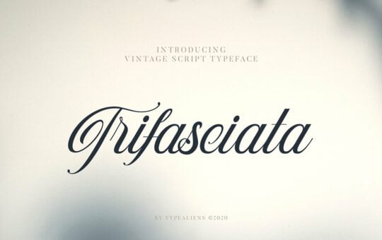 Trifasciata-Script-Typeface-1.jpg