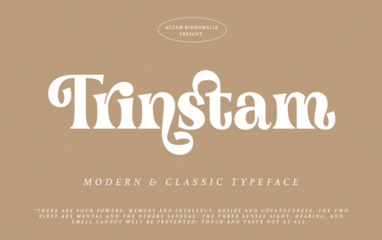 Trinstam-Fonts-18417837-1.png