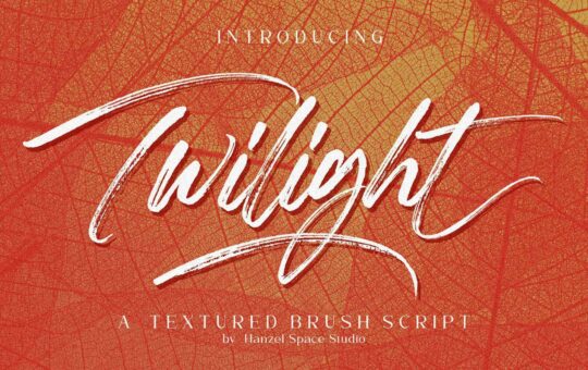 Twilight-Brush-Script-Font-1.jpg