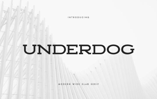 Underdog-Modern-Slab-Font-1.jpg