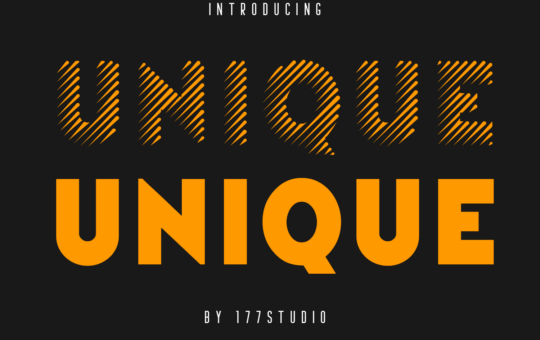 Unique-Sans-Serif-Font-1.png