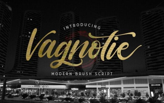 Vagnotie-Modern-Script-Font-1.jpg