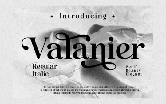 Valaneir-Elegant-Serif-Font-1.jpg