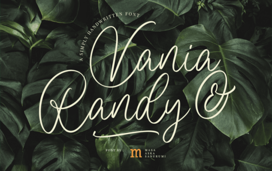 Vania-and-Randy-Calligraphy-Font-1.png