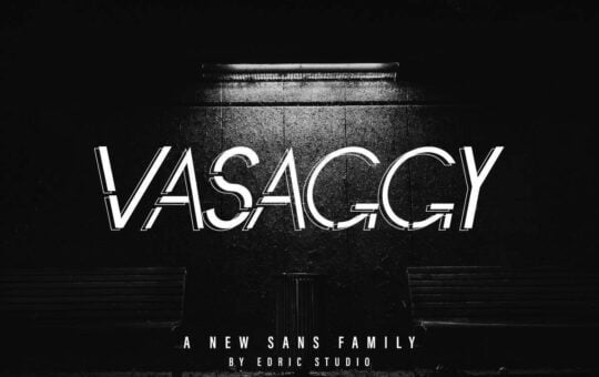 Vasaggy-Sans-Serif-Font-1.jpg