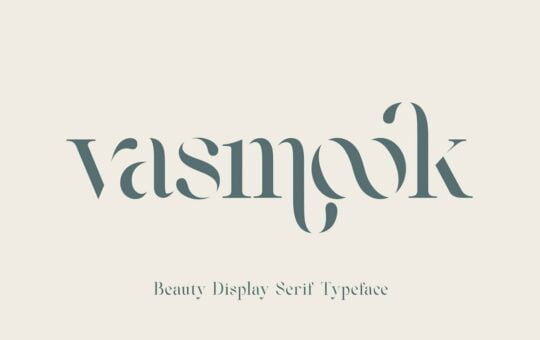 Vasmook-Modern-Serif-Font-1.jpg