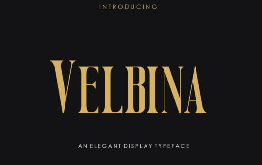 Velbina-Modern-Serif-Font-1.jpg