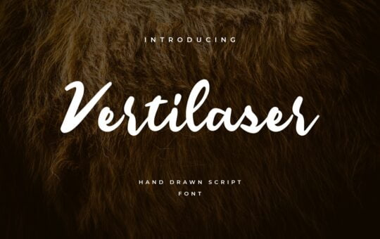 Vertilaser-Hand-Drawn-Script-Font.jpg